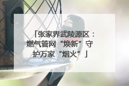 张家界武陵源区：燃气管网“焕新”守护万家“烟火”