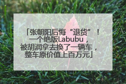 张朝阳后悔“退货”！一个绝版Labubu，被胡润拿去换了一辆车，整车原价值上百万元