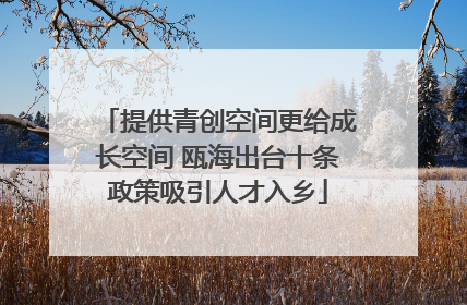 提供青创空间更给成长空间 瓯海出台十条政策吸引人才入乡