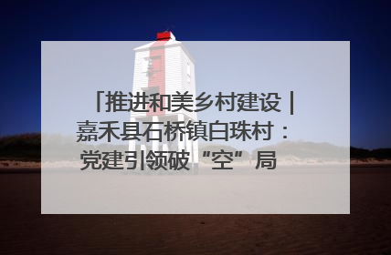 推进和美乡村建设｜嘉禾县石桥镇白珠村：党建引领破“空”局 乡贤聚力绘就新图景