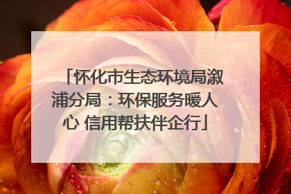怀化市生态环境局溆浦分局：环保服务暖人心 信用帮扶伴企行