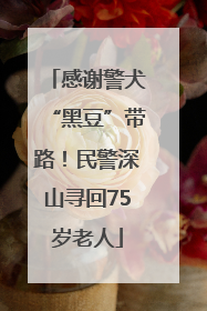 感谢警犬“黑豆”带路！民警深山寻回75岁老人