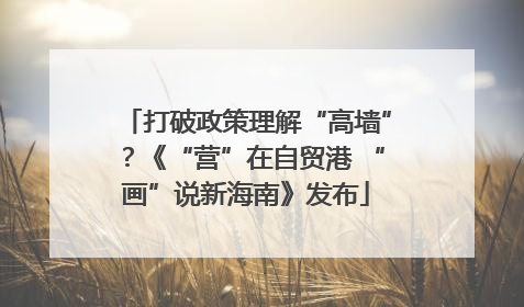 打破政策理解“高墙”？《“营”在自贸港 “画”说新海南》发布