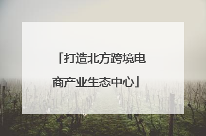 打造北方跨境电商产业生态中心