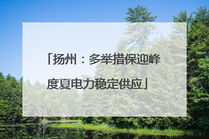 扬州：多举措保迎峰度夏电力稳定供应