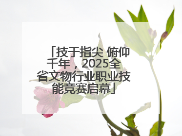 技于指尖 俯仰千年，2025全省文物行业职业技能竞赛启幕
