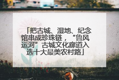 把古城、湿地、纪念馆串成珍珠链，“鲁风运河”古城文化廊道入选十大最美农村路