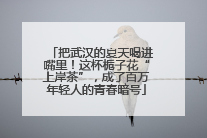 把武汉的夏天喝进嘴里！这杯栀子花“上岸茶”，成了百万年轻人的青春暗号