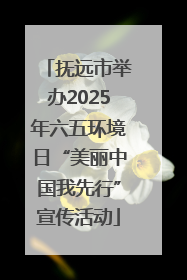 抚远市举办2025年六五环境日“美丽中国我先行”宣传活动