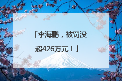 李海鹏，被罚没超426万元！