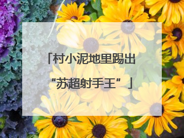 村小泥地里踢出“苏超射手王”