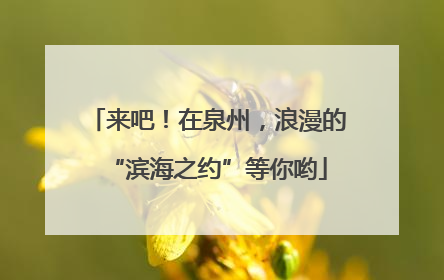 来吧！在泉州，浪漫的“滨海之约”等你哟
