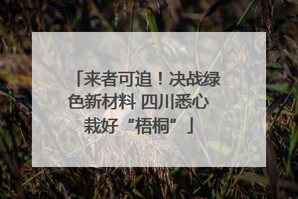 来者可追！决战绿色新材料 四川悉心栽好“梧桐”
