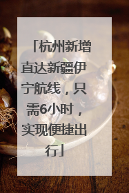 杭州新增直达新疆伊宁航线，只需6小时，实现便捷出行