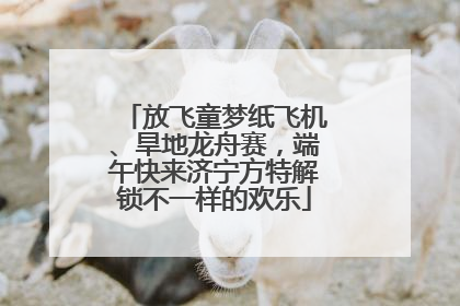 放飞童梦纸飞机、旱地龙舟赛，端午快来济宁方特解锁不一样的欢乐