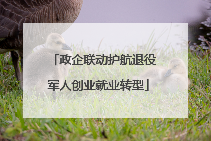 政企联动护航退役军人创业就业转型