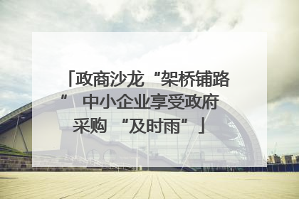 政商沙龙“架桥铺路” 中小企业享受政府采购 “及时雨”
