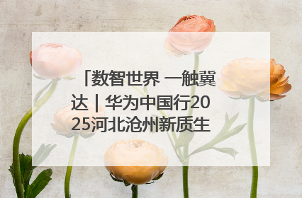 数智世界 一触冀达｜华为中国行2025河北沧州新质生产力峰会成功举办