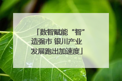 数智赋能“智”造强市 银川产业发展跑出加速度