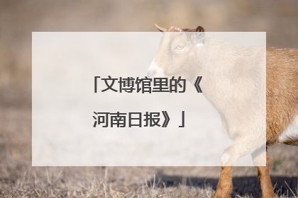 文博馆里的《河南日报》