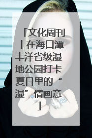 文化周刊丨在海口潭丰洋省级湿地公园打卡夏日里的“湿”情画意