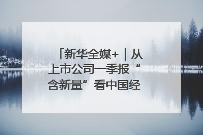 新华全媒+｜从上市公司一季报“含新量”看中国经济发展向“新”