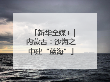 新华全媒+｜内蒙古：沙海之中建“蓝海”