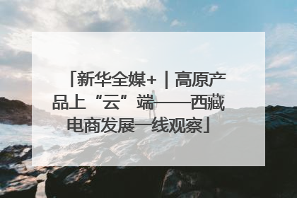 新华全媒+｜高原产品上“云”端——西藏电商发展一线观察