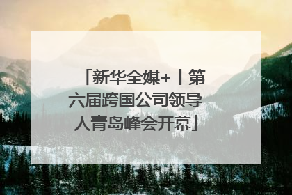 新华全媒+丨第六届跨国公司领导人青岛峰会开幕