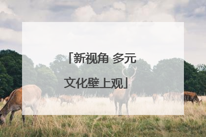 新视角 多元文化壁上观