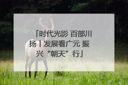 时代光影 百部川扬丨发展看广元 振兴“朝天”行
