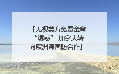 无视美方免费金穹“诱惑” 加拿大转向欧洲谋国防合作