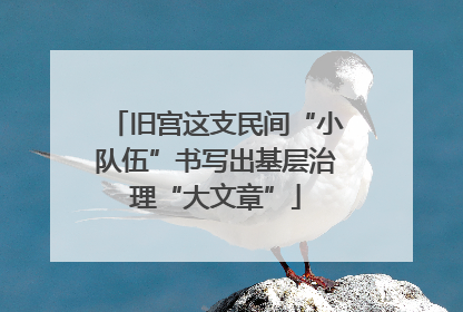 旧宫这支民间“小队伍”书写出基层治理“大文章”