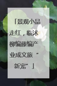 景观小品走红，临沭柳编藤编产业成文旅“新宠”