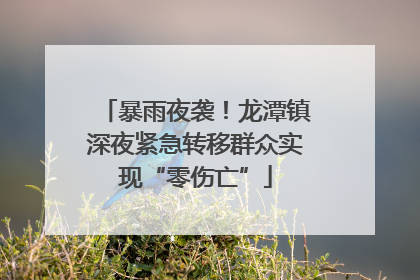 暴雨夜袭！龙潭镇深夜紧急转移群众实现“零伤亡”