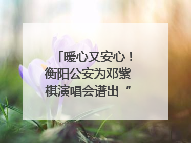 暖心又安心！衡阳公安为邓紫棋演唱会谱出“平安曲”