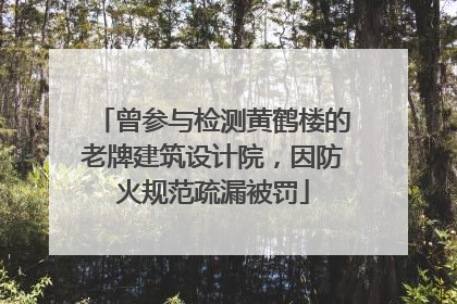 曾参与检测黄鹤楼的老牌建筑设计院，因防火规范疏漏被罚