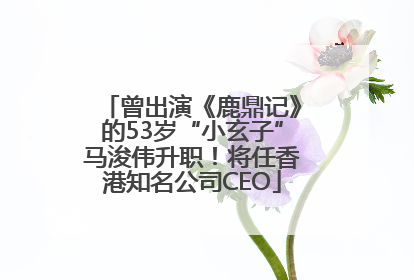 曾出演《鹿鼎记》的53岁“小玄子”马浚伟升职！将任香港知名公司CEO