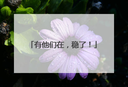 有他们在，稳了！