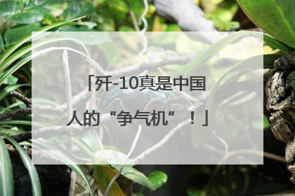 歼-10真是中国人的“争气机”！