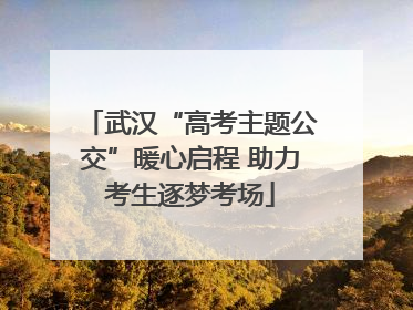 武汉“高考主题公交”暖心启程 助力考生逐梦考场