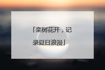 栾树花开，记录夏日浪漫
