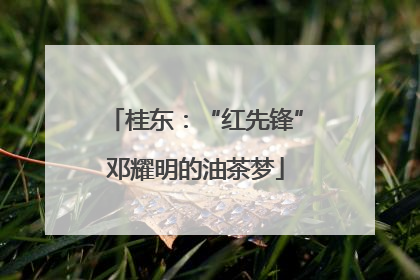 桂东：“红先锋”邓耀明的油茶梦