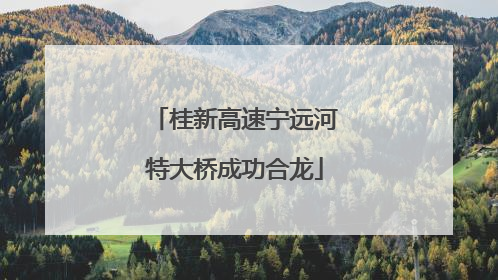 桂新高速宁远河特大桥成功合龙