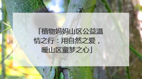 植物妈妈山区公益温情之行：用自然之爱，暖山区童梦之心