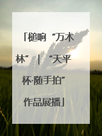 槌响“万木林”｜“天平杯·随手拍”作品展播