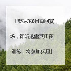 樊振东6月重回赛场，许昕透露其正在训练：将参加乒超