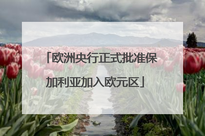 欧洲央行正式批准保加利亚加入欧元区