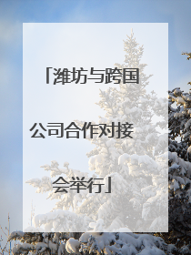 潍坊与跨国公司合作对接会举行
