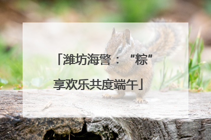 潍坊海警：“粽”享欢乐共度端午